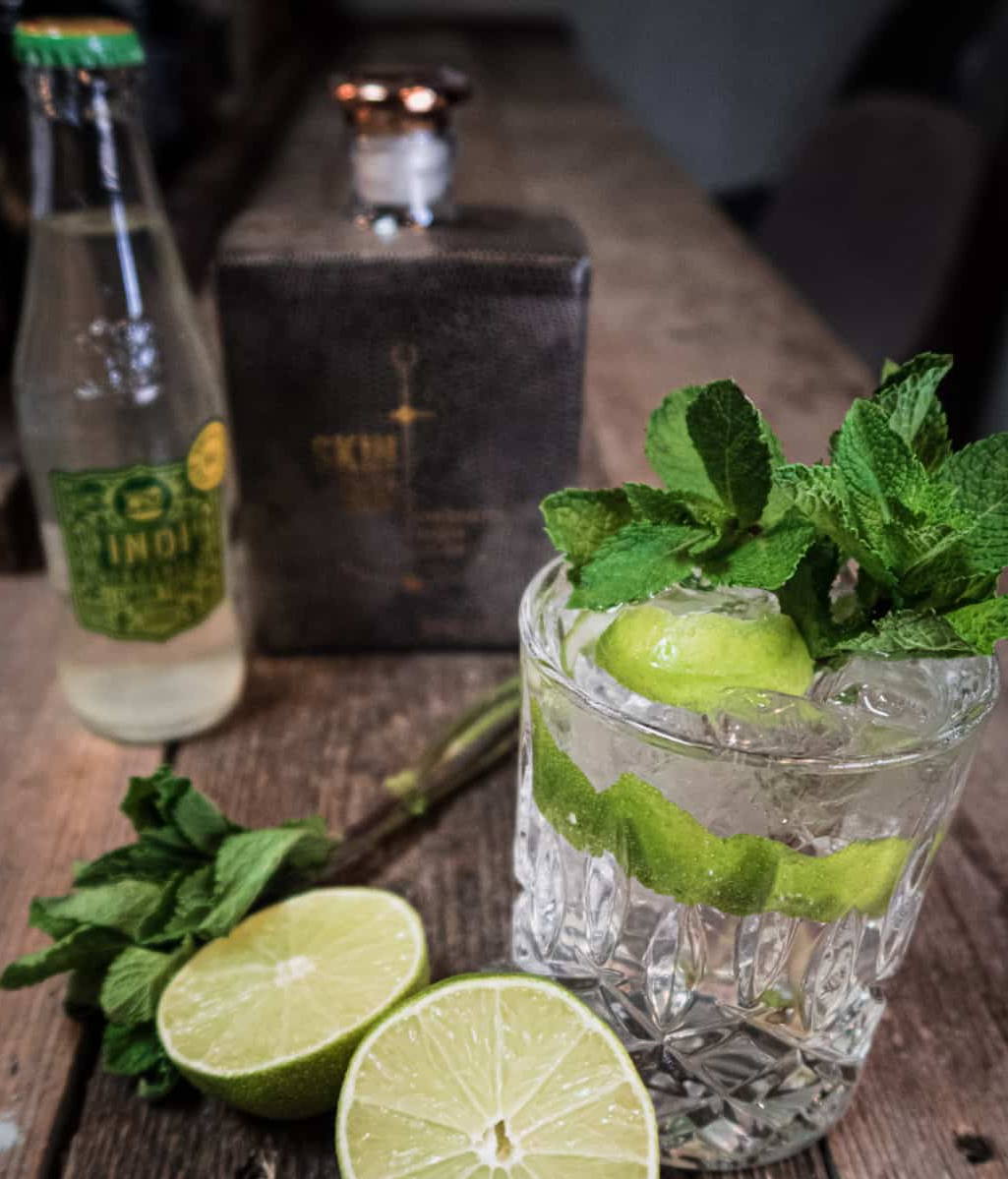 Gin & Tonic Mojito